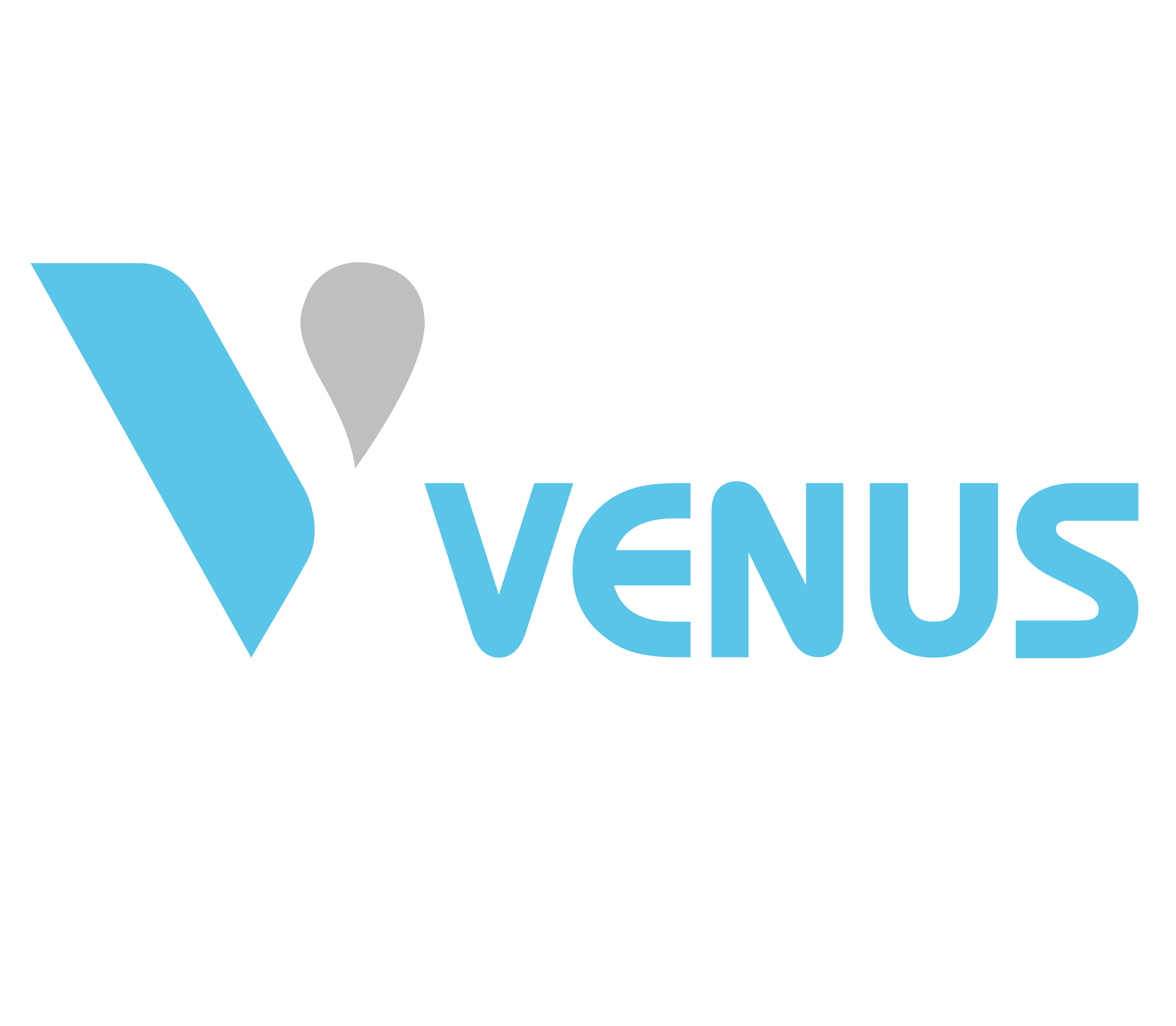 VENUS TRADING INVESTMENT LIMITED COMPANY